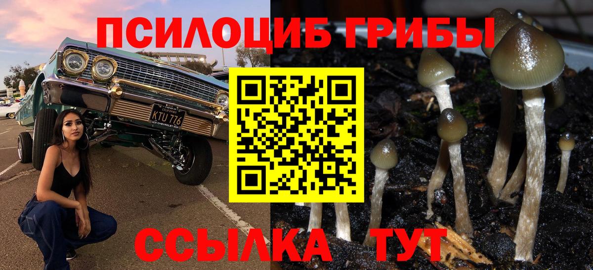 Дальнегорск  Псилоцибиновые грибы Magic Shrooms  Вход с VPN 